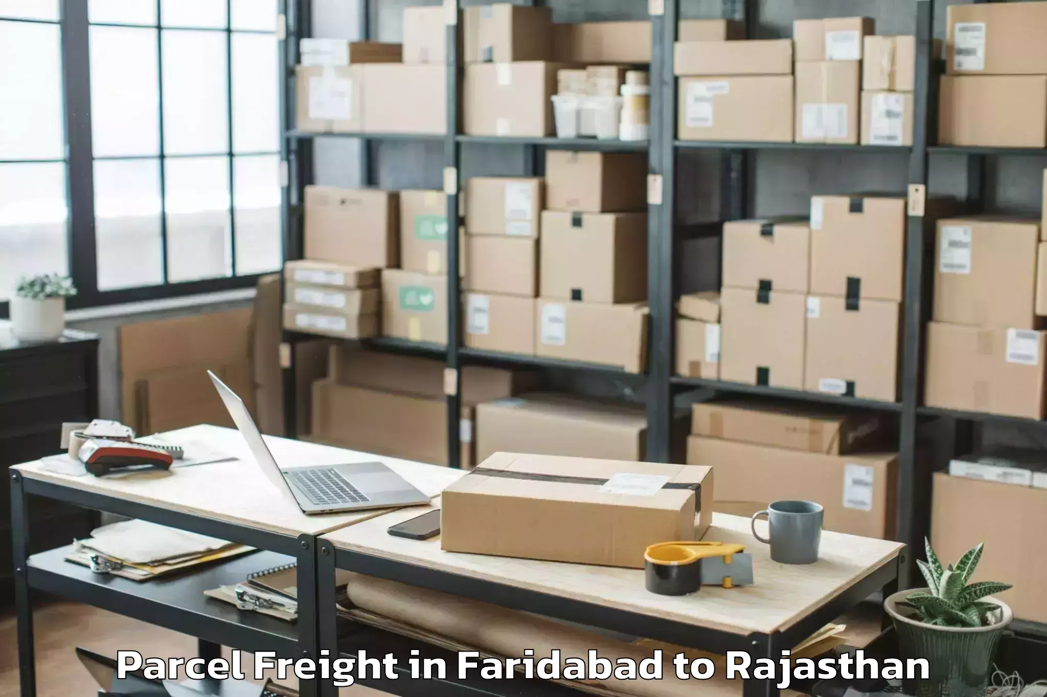 Book Faridabad to The Lnm Institute Of Informati Parcel Freight